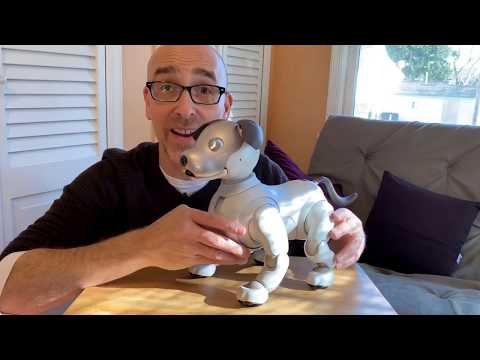 Sony Aibo ERS-1000 Review: It’s the Ultimate Robot Dog!