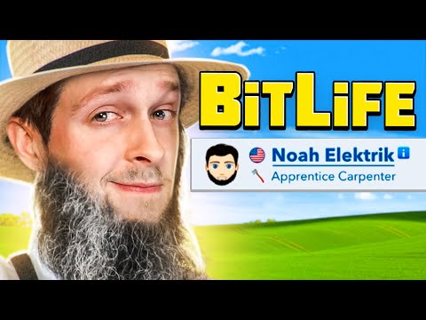 Bitlife but I'm a terrible Amish man