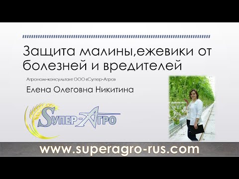 Защита малины и ежевики от болезней и вредителей