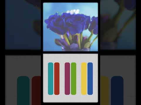 Inside Polaroid Film Design feat. Polaroid Reclaimed Blue