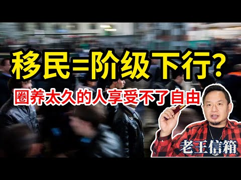 想移民但思前想后犹犹豫豫，害怕阶级下行……老王分享自己移民的真实感受与体验：能得到在中国从未有过的自由！｜老王信箱｜移民｜人生选择