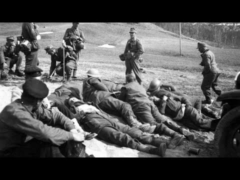 Hungarian POWs Were Shocked By America’s Military Power After Arriving On American Soil