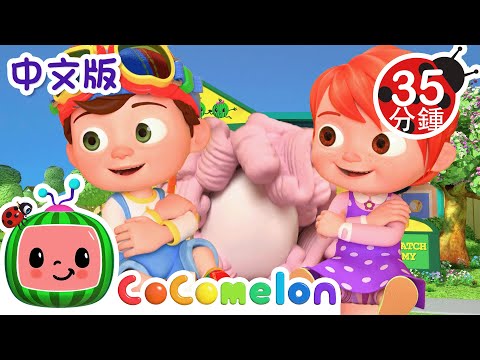 鸡蛋哥 | 大合集 | 經典熱門兒歌 | Kids Song | 動畫 | 童謠 | 儿童学习 | 卡通片 | CoComelon 中文 | Nursery Rhymes
