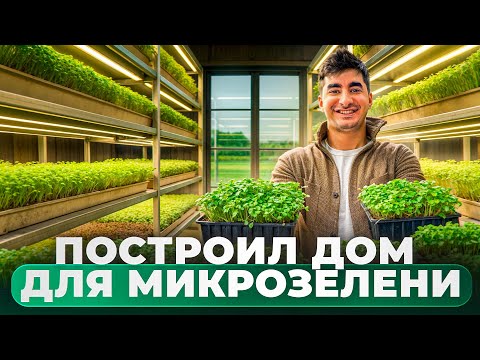 Built a house for microgreens. Business with 5,000 rubles.