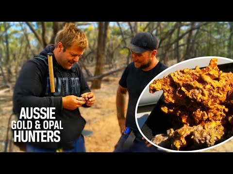 Brent And Ethan Finds HUGE Gold Nuggets Whilst Bush Hunting | Aussie Gold Hunters