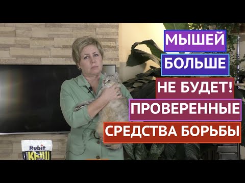 БОРЕМСЯ С МЫШАМИ/КРЫСАМИ/КАРБЫШАМИ! ЭФФЕКТИВНО И БЕЗОПАСНО!