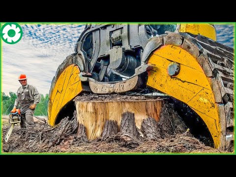 Most Big Chainsaw Cutting Tree Machines | Best of Month