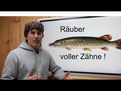 This is what you MUST know about the PIKE!