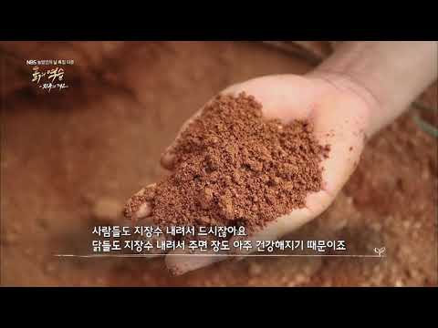 [NBS 농업인의 날 특집 다큐] 흙의역습 - 지구의 경고