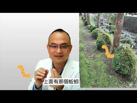 「赤腳踩草地10分鐘，大自然幫你充電！」接地 = 和大地連結好處：減壓、助眠、改善心情骨科權威阿宙醫師分享給您：接地氣，不用花錢，不用器材，只要脫鞋就行！阿宙9/17(三)7：30開講！全心體會！