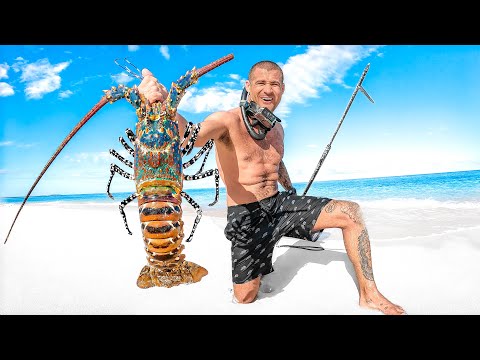 Surviving On Shark Island Until I Catch My Own Food