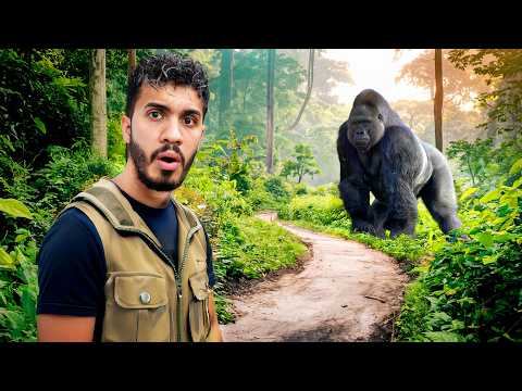 Encontré los últimos GORILAS SALVAJES del MUNDO 🦍