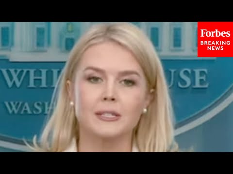 Leavitt Sends Message To Judges Blocking Deportations: ‘We Will Continue To Deport These Monsters’