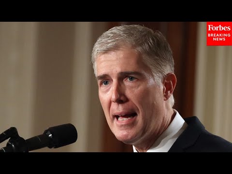 'You're Fighting The Hypothetical': Gorsuch Grills Lawyer Over 'Similarly Situated' Title IX Phrase