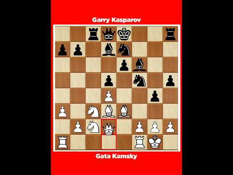 Gata Kamsky vs Garry Kasparov √ It Matchess New York USA, 1989.