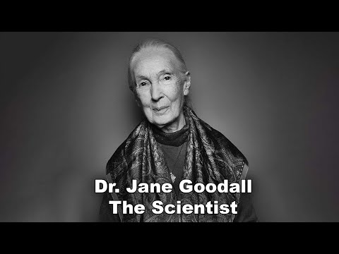You are Probably Underestimating Jane Goodall’s Impact
