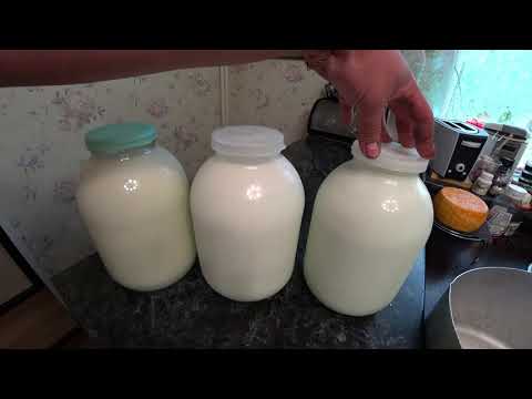 Cow's milk feta cheese