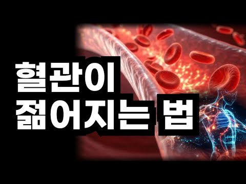 100년이 지나도 건강한 혈관 만들기 / 혈관이 젊어지는 것 바로 이것 하루 5분만 투자하세요