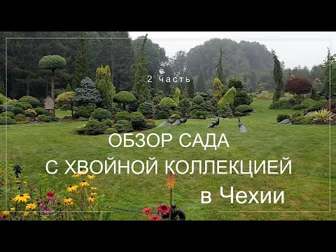 Красивейший сад Miniarboretum u Hoiubů в Чехии. 2 часть. Большая хвойная коллекция и не только...