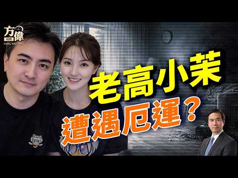 老高與小茉遭重罰,發生了什麼