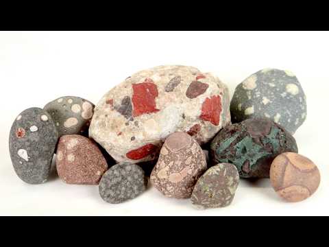 Geologist Dr. Nat Explains How to Identify Various Spotted Rocks