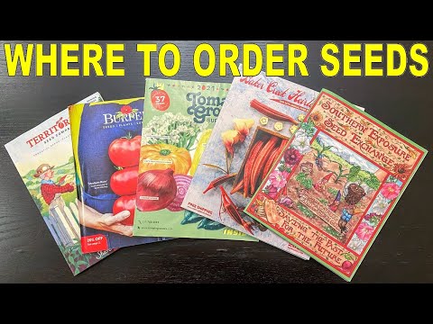 Where To Buy Seeds For Your Garden: Some Of My Favorite Seed Companies