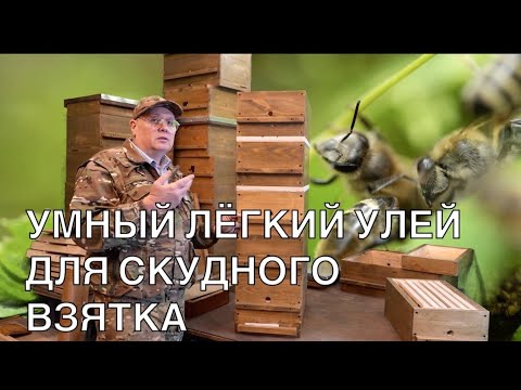 AN IDEAL HIVE FOR LOW HONEY COLLECTION