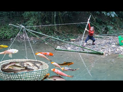Creative Ideas A Fish Trap, Woven From Bamboo Simple and Effective / Harvesting A Lot Of Big Fish