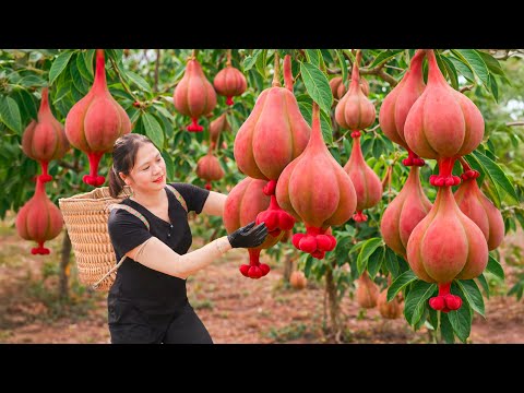 Harvesting Wild Red Sour Plums | Sold Out Instantly at the Village Market