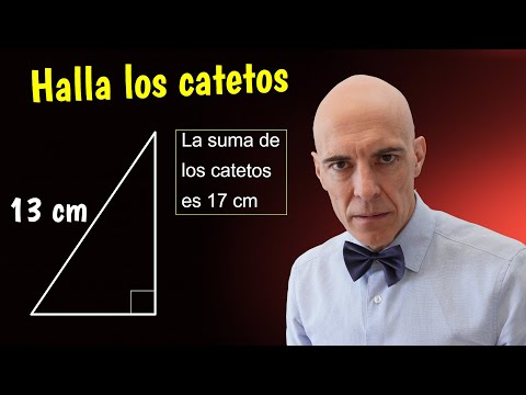 Length of the legs🫵