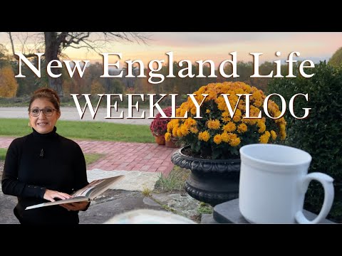 Shopping, Baking, Relaxing Moment, In the News - My week living in New England