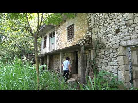 Renovating and Building an Abandoned Stone House in the Woods and I Lived With My Dogs