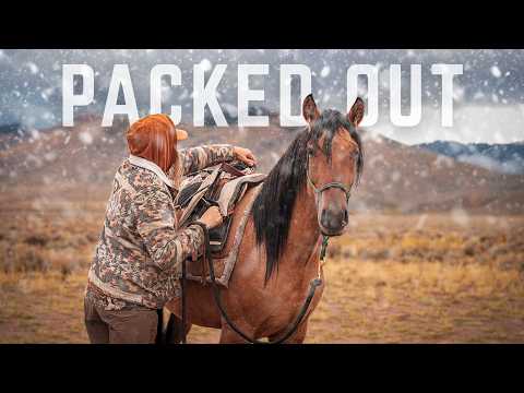 Packing 200+ Pounds of Elk With Our Horses and Mules - Did Our Training Work?