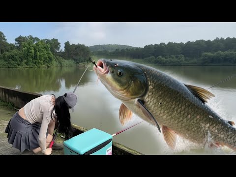 盘黑坑水库嚣张老板!老板小瞧我小身板钓不起大鱼?反手狂钓三条百斤大青鱼,吓得他跪求放过!