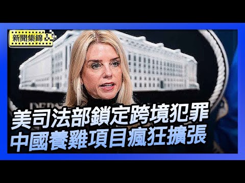 美司法部設首個「打擊詐騙小組」 鎖定跨境犯罪｜中國養雞項目瘋狂擴張 導致蛋價崩盤【環球直擊】2025-11-13