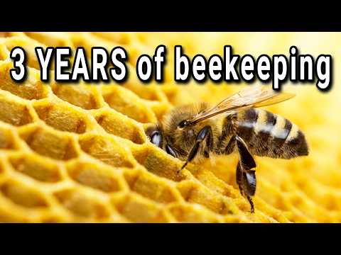 A FULL season of beekeeping - from day 1 to honey harvest