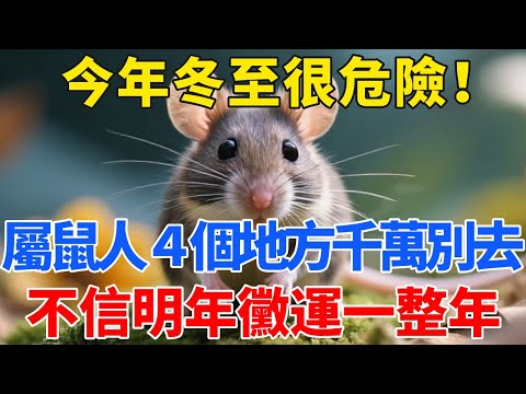 這不是迷信！今年冬至不一樣，屬鼠人４個地方千萬不要去，不信明年黴運一整年！【禪心】#生肖 #運勢 #風水 #財運#命理