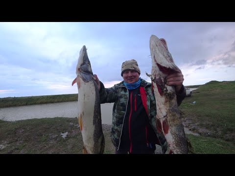 Бешеные щуки все переломали и меня порвали..........Рыбалка в Сибири.