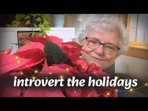 The Holidays Aren’t Made for Introverts… Mine Are.