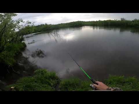 Защита от комаров THERMACELL.Тест на рыбалке.