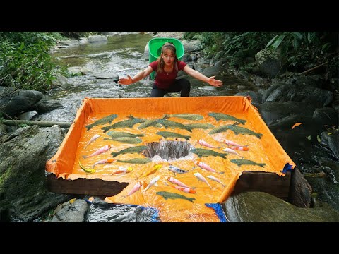 My Method Of Trapping Fish is Very Simple, Using Discarded Planks / Harvesting A Lot Of Big Fish