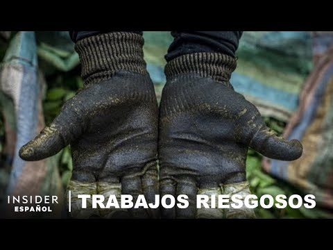 Cómo se hace la cocaína con gasolina en Colombia | Trabajos riesgosos | Noticias Insider