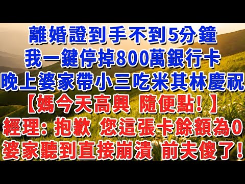 離婚證到手不到5分鐘，我一鍵停掉800萬銀行卡，晚上婆家帶小三吃米其林慶祝：媽今天高興 隨便點！ 經理：抱歉 您這張卡餘額為0，婆家聽到直接崩潰 前夫傻了！#小娟講故事 #情感故事 #老年生活