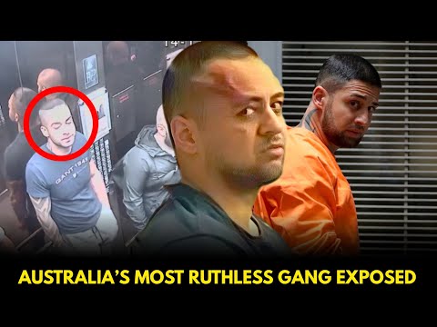 Abuzar Sultani and Murder Crew 13: The True Story of Australia’s Most Ruthless Gang