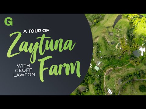 Theory in Practice: A Tour of Zaytuna Farm