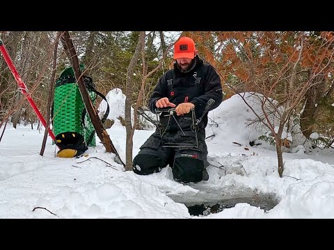 Trapping the North Maine Woods