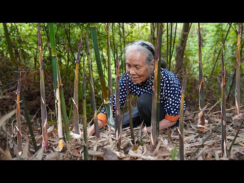 清明節後野筍瘋長，有人說它細小無味，有人拔它整車回家Grandma makes traditional food with wild bamboo shoots | 玉林阿婆