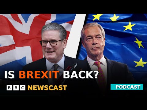 Why is the United Kingdom debating Brexit again? | BBC Newscast