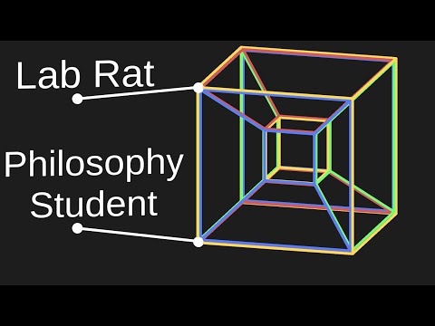 The Player Type Alignment Tesseract