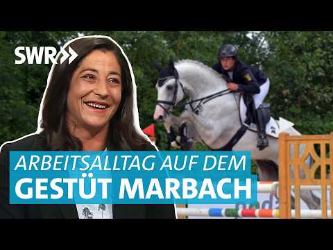 Traumberuf für Pferdemädchen: Eva ist Pferdewirtschaftsmeisterin beim Landesgestüt Marbach